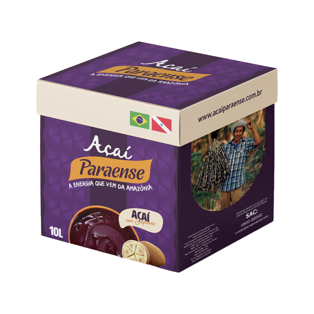 caixa-de-10l-acai-com-cupuacu