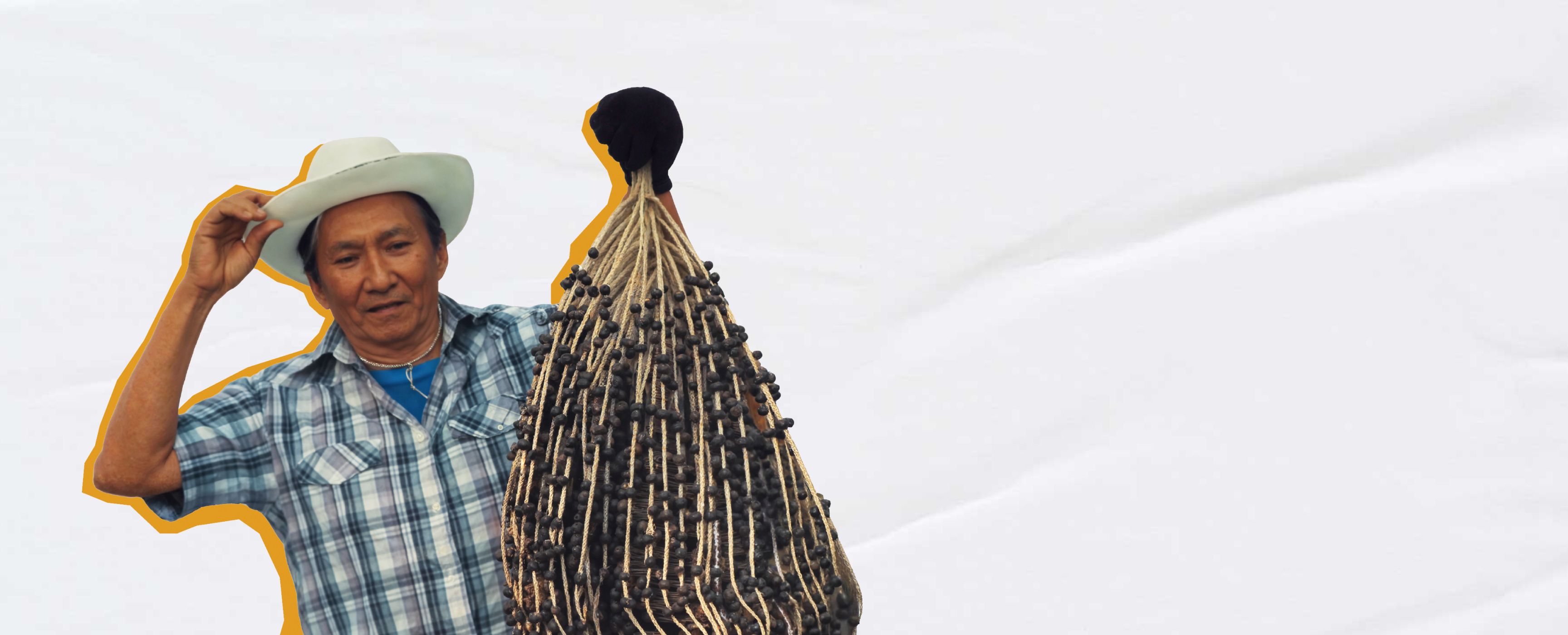 Plano de fundo principal 