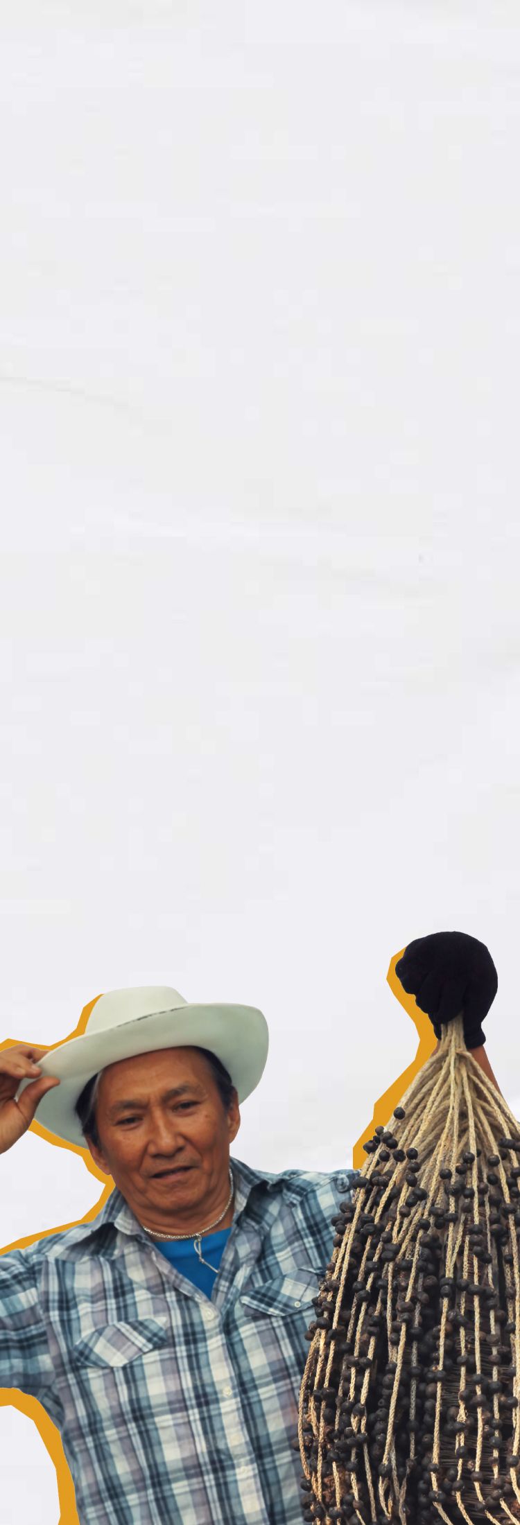 Plano de fundo principal 